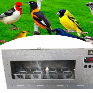 Chocadeira Para Pássaros ChocaFast 8 Ninhos + Inversor 12 V